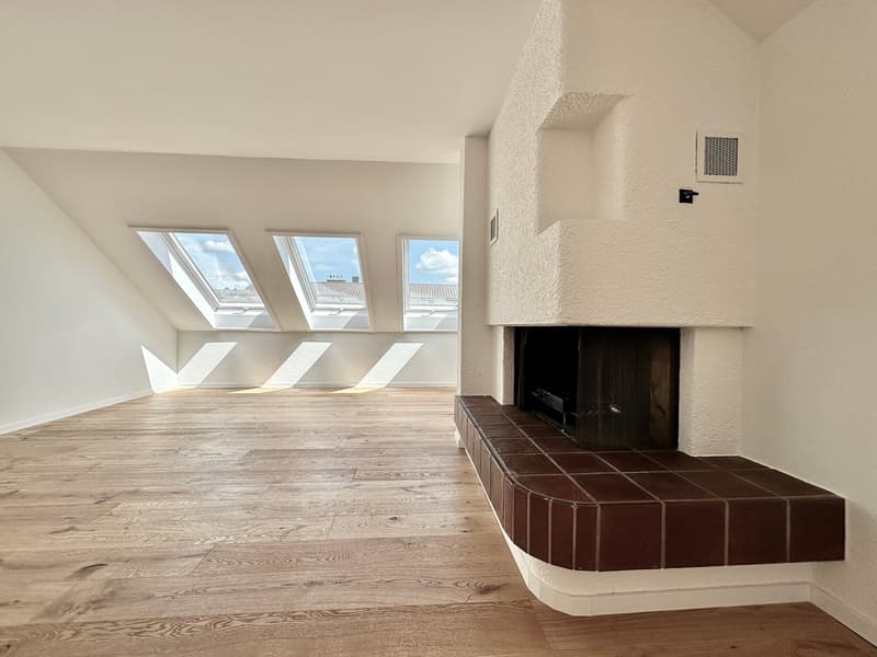 Küngoldingen: frisch sanierte 5.5-Zimmer-Attika-Wohnung mit Weitsicht (1)