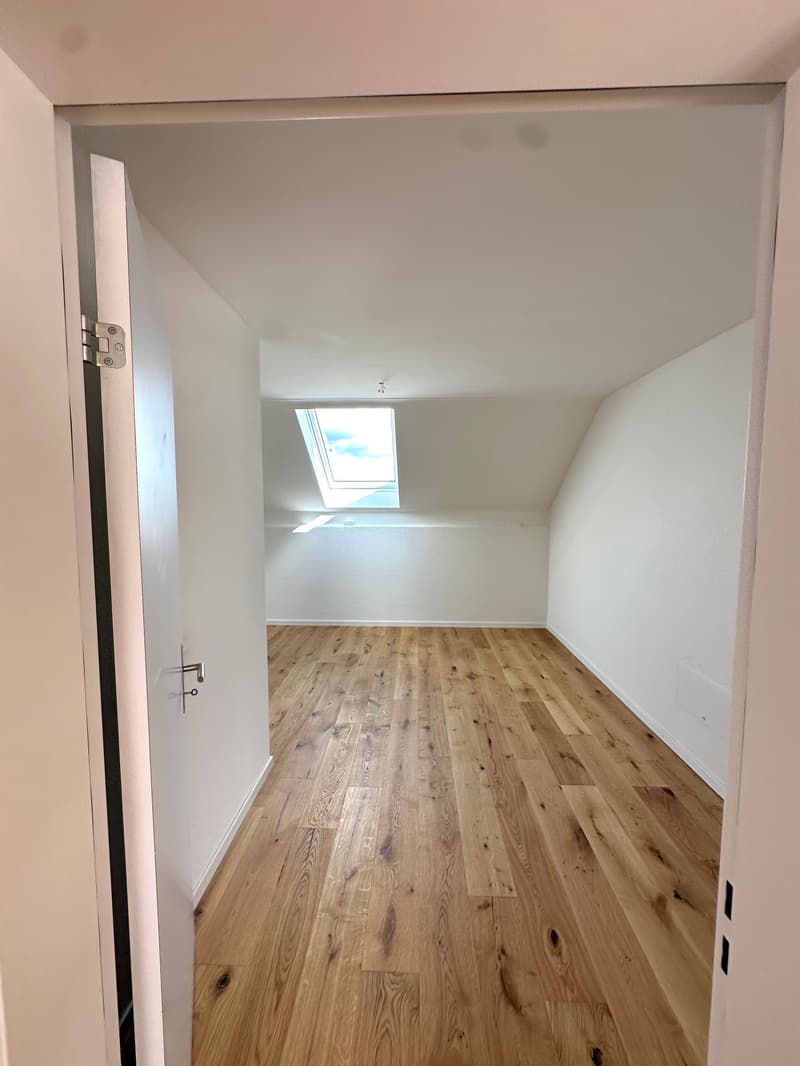Küngoldingen: frisch sanierte 5.5-Zimmer-Attika-Wohnung mit Weitsicht (19)