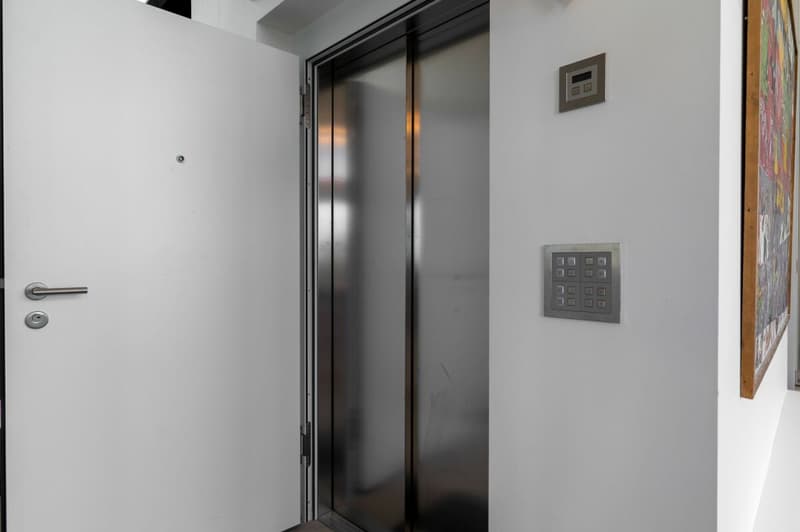 Attique neuf contemporain avec une magnifique vue lac & montagnes - Belle hauteur sous plafond (21)