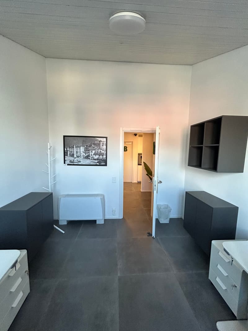 Postazione di lavoro singola completamente attrezzata in centro a Lugano (9)