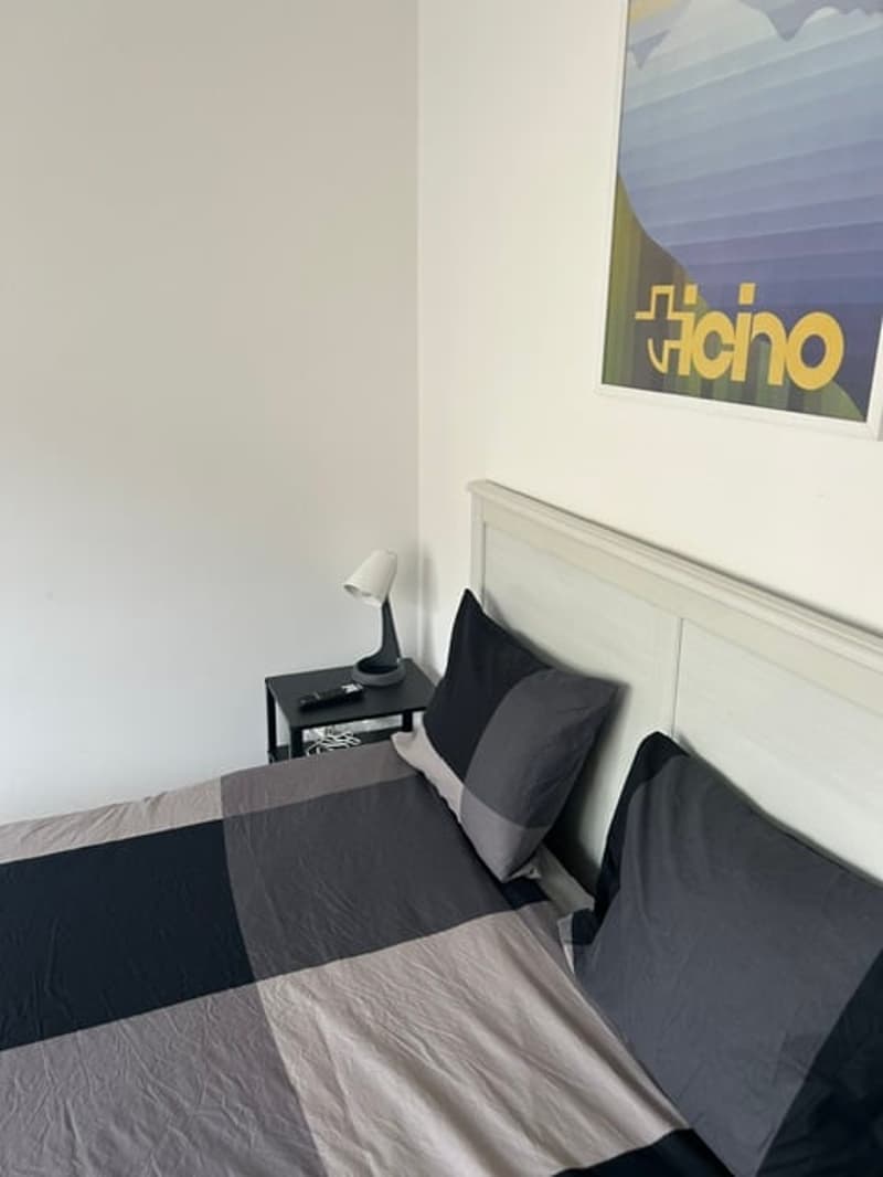 Monolocale arredato vicino all'università di Lugano (7)
