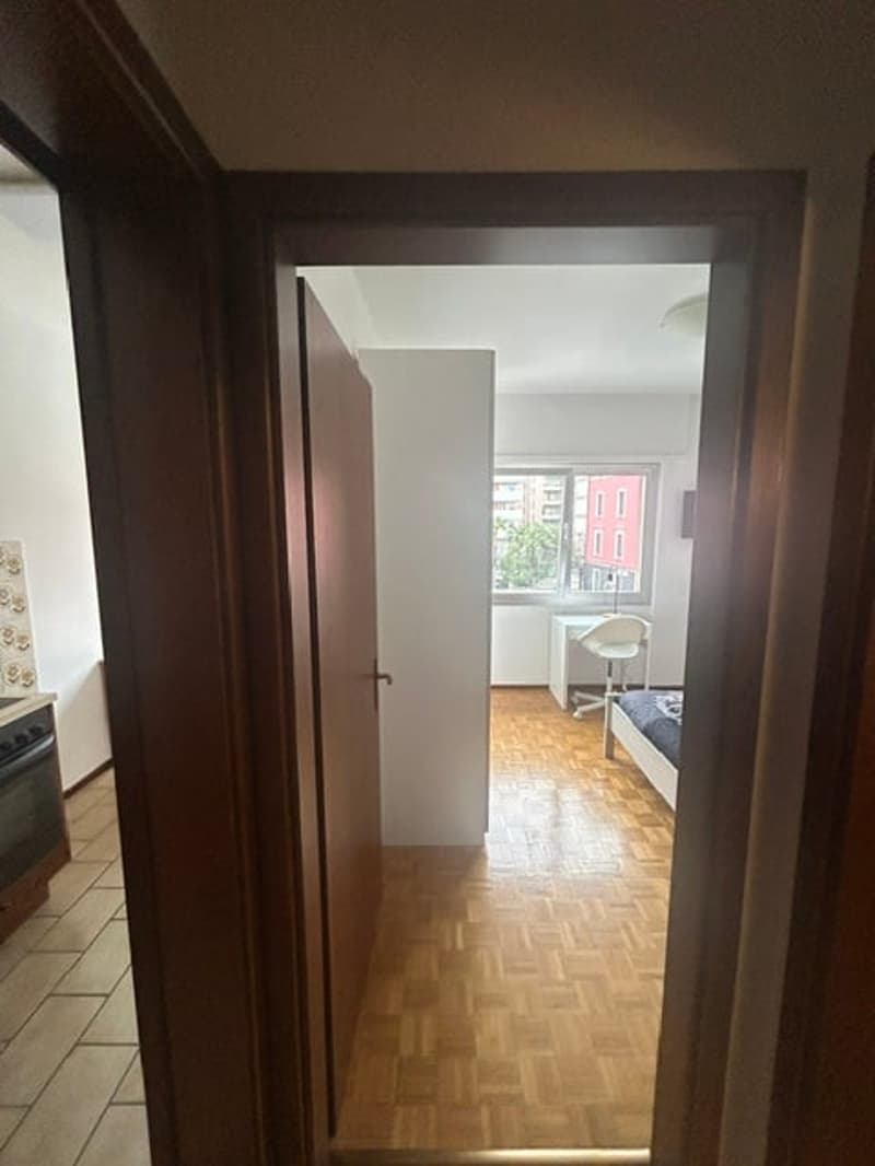 Monolocale arredato vicino all'università di Lugano (16)