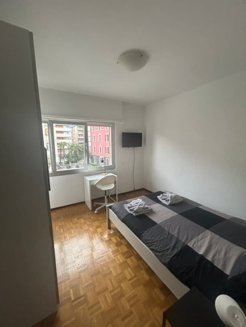 Monolocale arredato vicino all'università di Lugano (3)