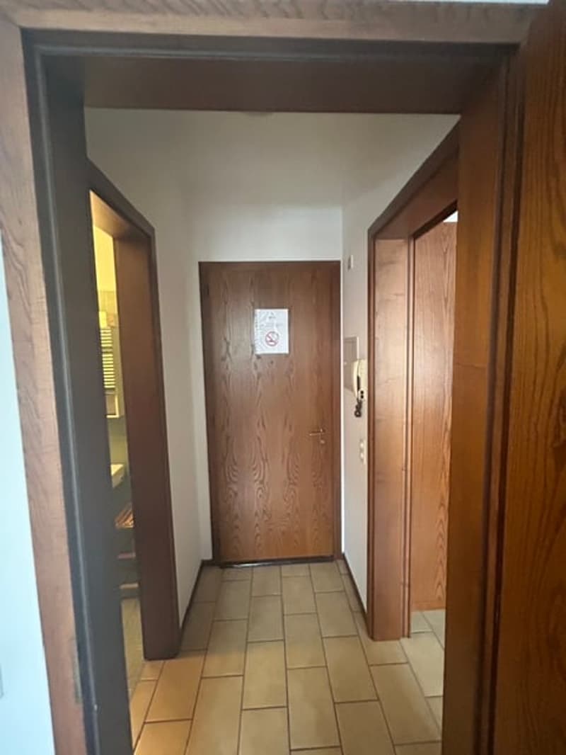 Monolocale arredato vicino all'università di Lugano (17)
