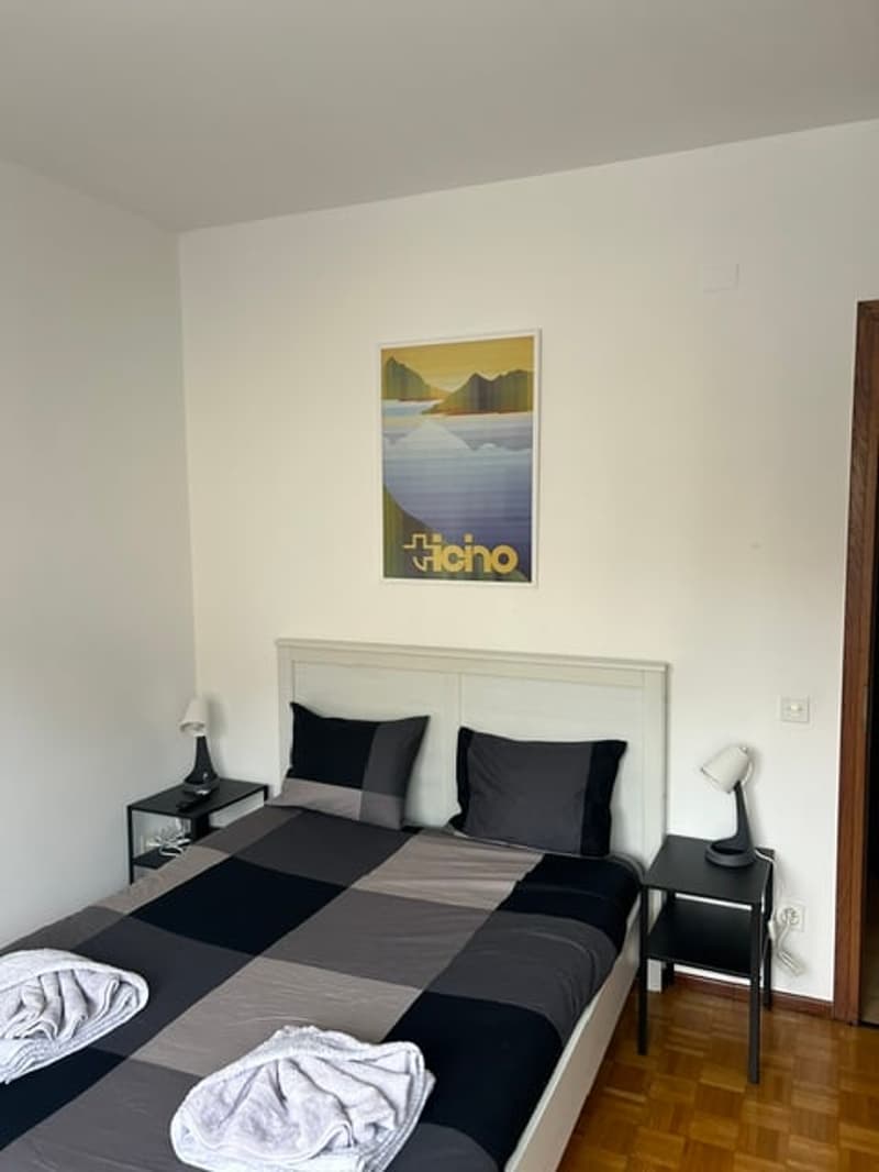 Monolocale arredato vicino all'università di Lugano (4)