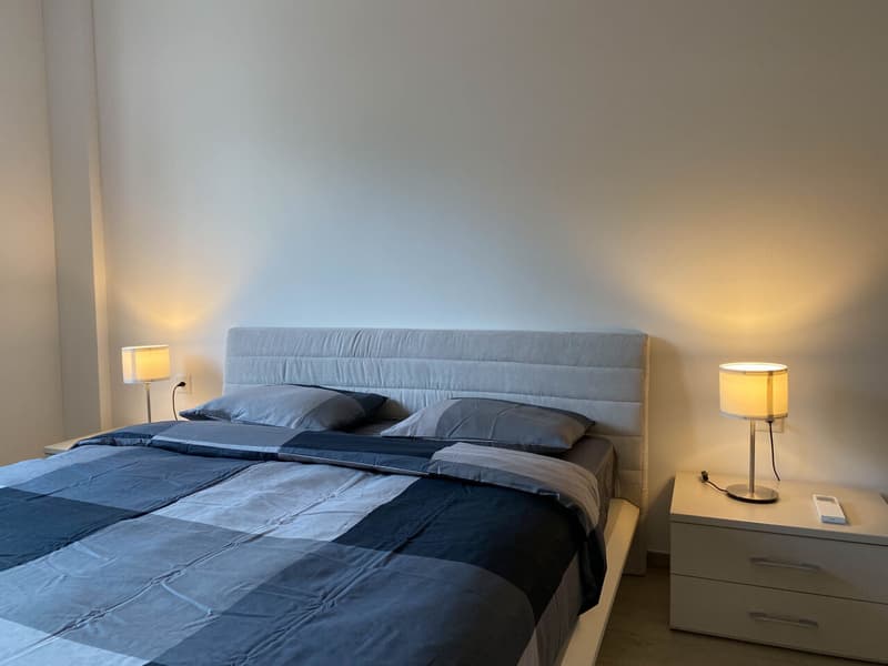 Bilocale arredato in centro a Lugano (8)