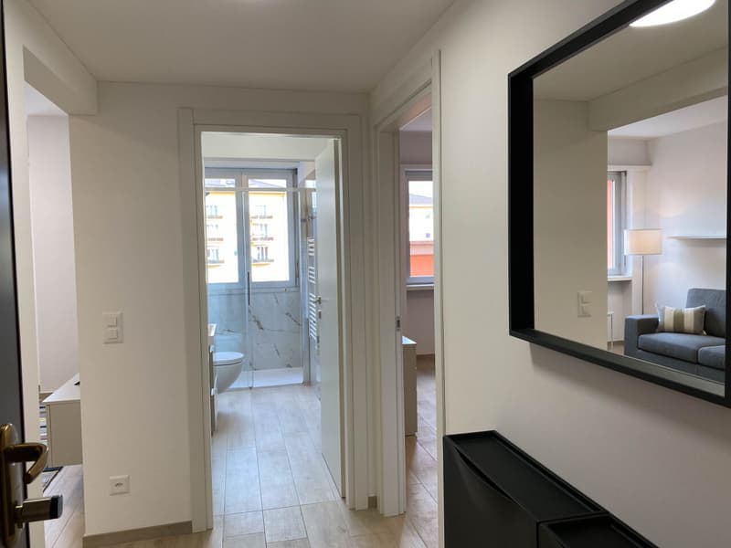 Bilocale arredato in centro a Lugano (10)