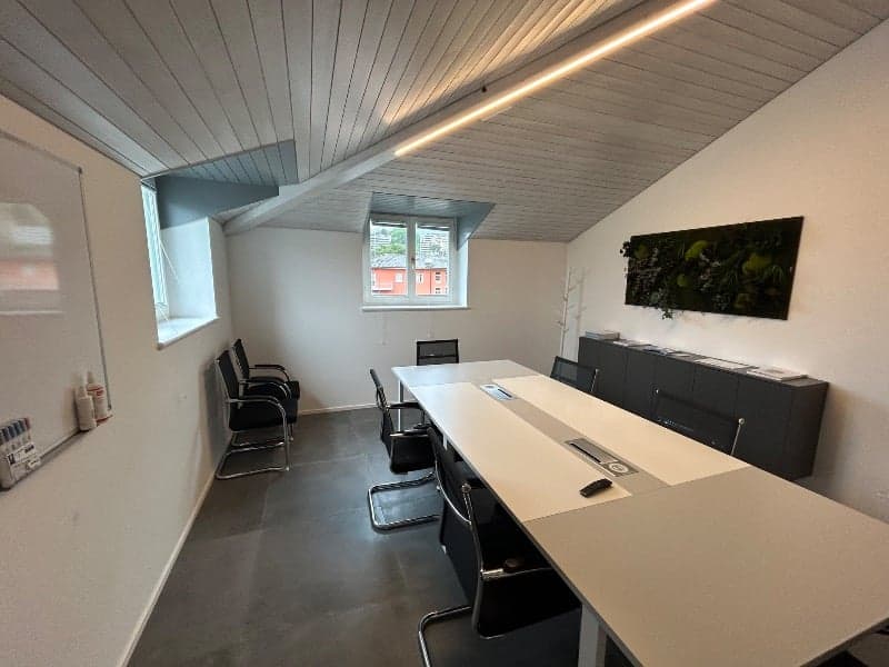 Sala Riunioni Executive a Lugano (2)