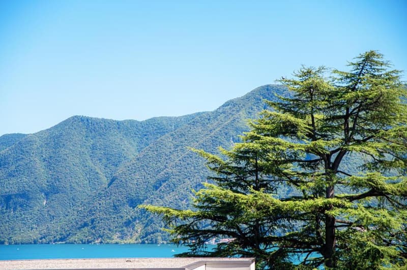 Stupendo appartamento arredato con vista lago a Lugano (11)