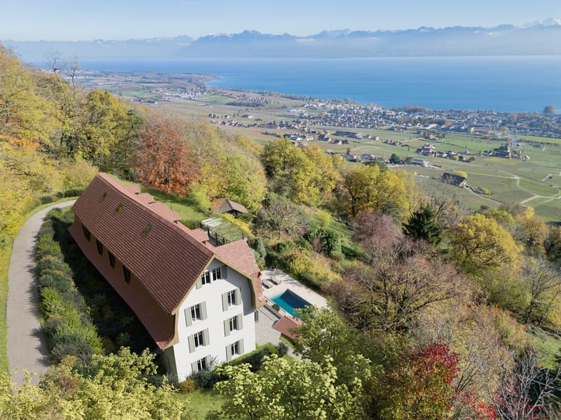Villa d'exception avec vue panoramique sur le lac Léman (2)