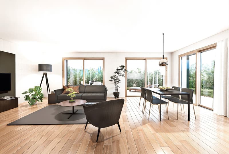 Magnifique rez-de-jardin de 5.5 pièces à Gilly (1)