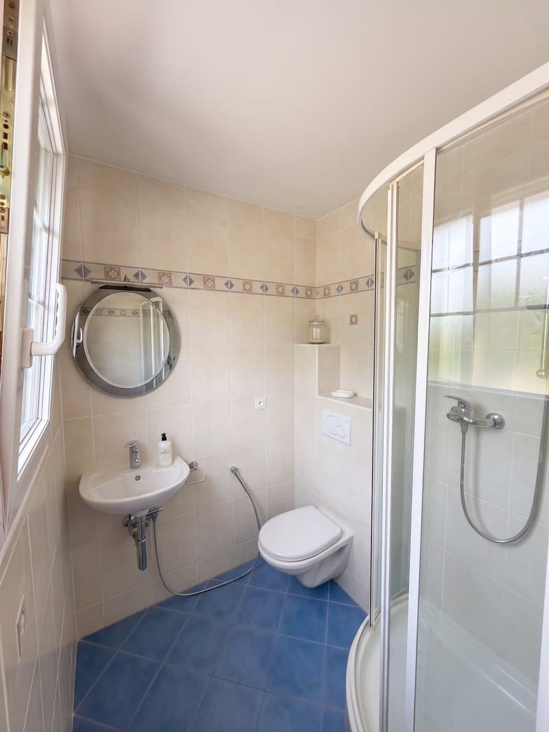 Salle de douche 1
