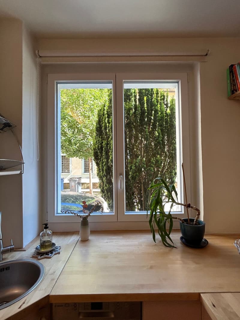 Vue sur l'extérieur depuis la cuisine, offrant une agréable ouverture et une belle luminosité.