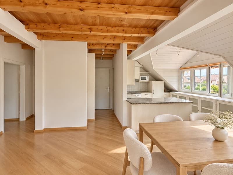 Duplex lumineux au dernier étage - Le charme de La Rippe au pied du Jura (3)