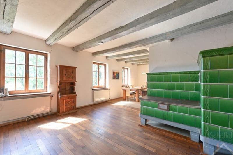 Freistehendes Einfamilienhaus mit Einliegerwohnung und viel Platz (3)