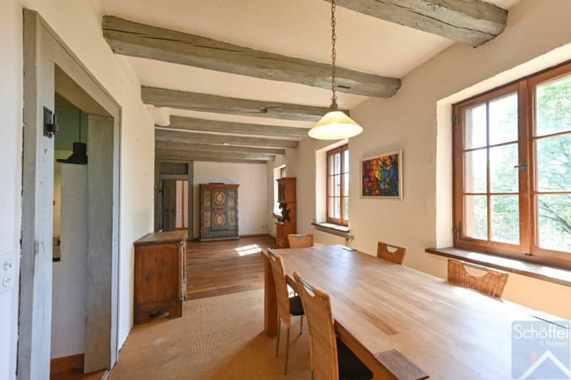 Freistehendes Einfamilienhaus mit Einliegerwohnung und viel Platz (7)