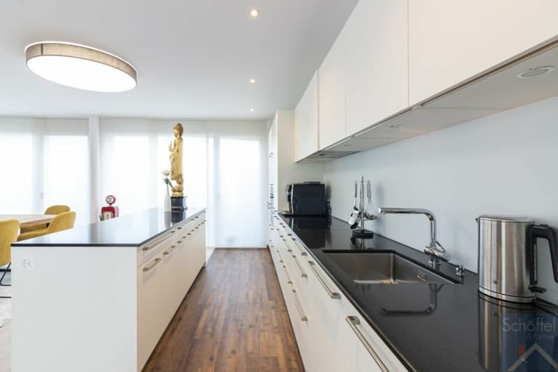3 1/2 Zimmer Attikawohnung (2)