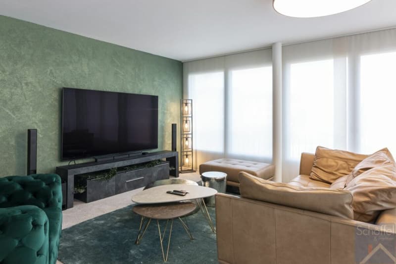3 1/2 Zimmer Attikawohnung (5)