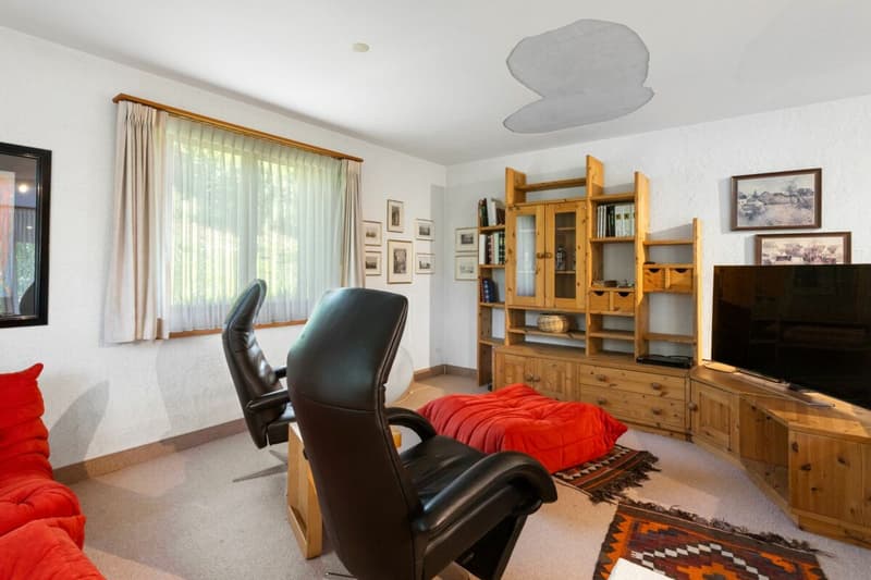 Grosszügiges 6½-Zimmer-Einfamilienhaus mit traumhafter Gartenoase (6)