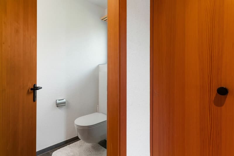 Grosszügiges 6½-Zimmer-Einfamilienhaus mit traumhafter Gartenoase (12)