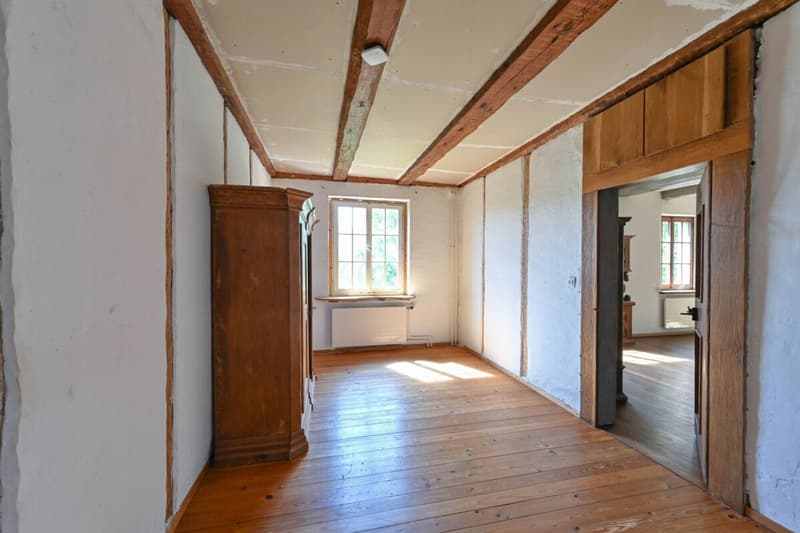 Freistehendes Einfamilienhaus mit Einliegerwohnung und viel Platz (14)