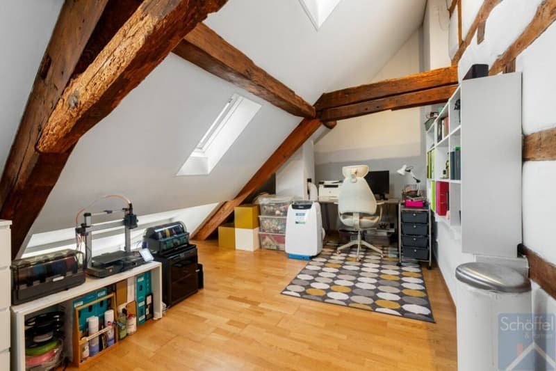 Charmantes 7½-Zimmer-Stadthaus mit separatem Garten (3)