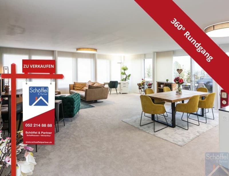 Exklusive 3½-Zimmer-Attikawohnung mit grosser Terrasse (1)