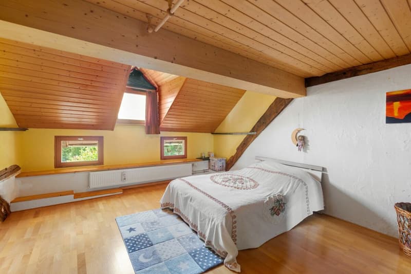 7 ½-Zimmer-Einfamilienhaus mit aussergewöhnlichem Raumangebot (22)