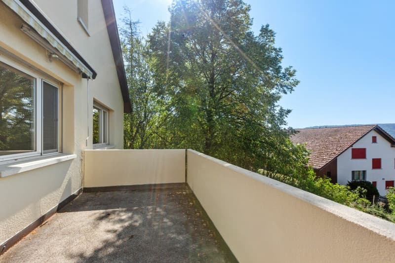 Grosszügiges 6½-Zimmer-Einfamilienhaus mit Doppelgarage (21)