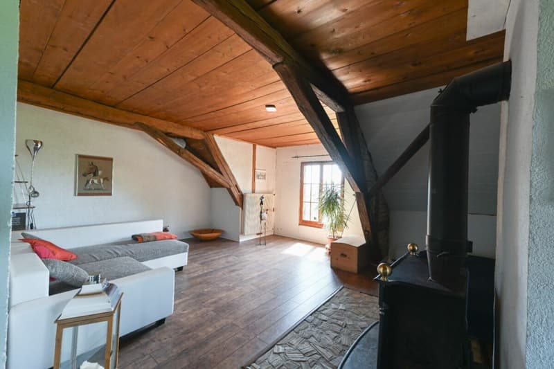 Charmantes Bauernhaus mit Geschichte (12)