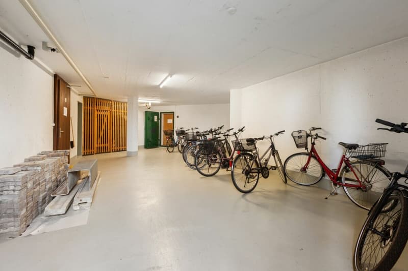 Grosszügige 2½-Zimmer-Terrassenwohnung mit Weitsicht (19)