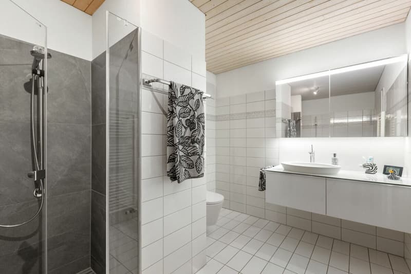 5½-Zimmer-Reiheneckhaus mit grosszügigem Grundstück (16)