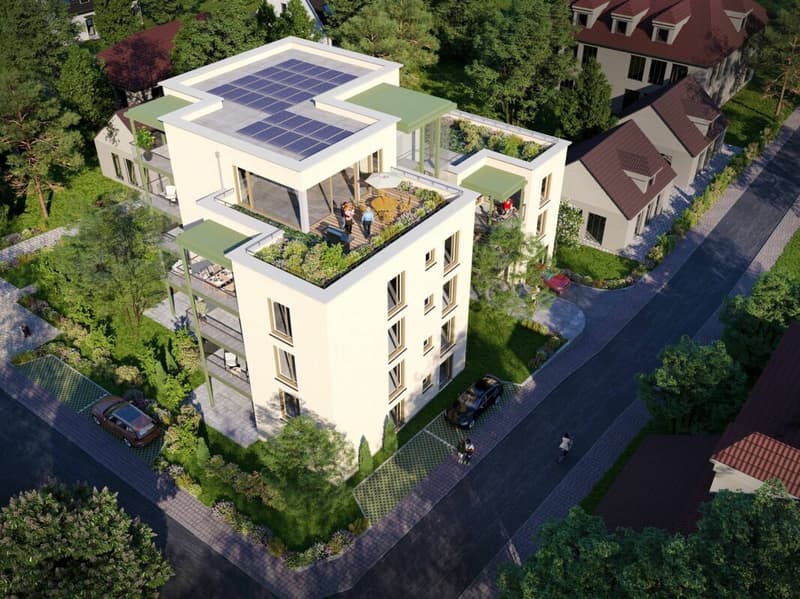 Grosszügige 4½-Zimmer-Attikawohnung mit 65 m² Dachterrasse (1)