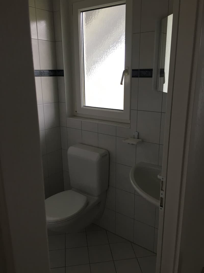 small bathroom with toilet, sink, window, tiles