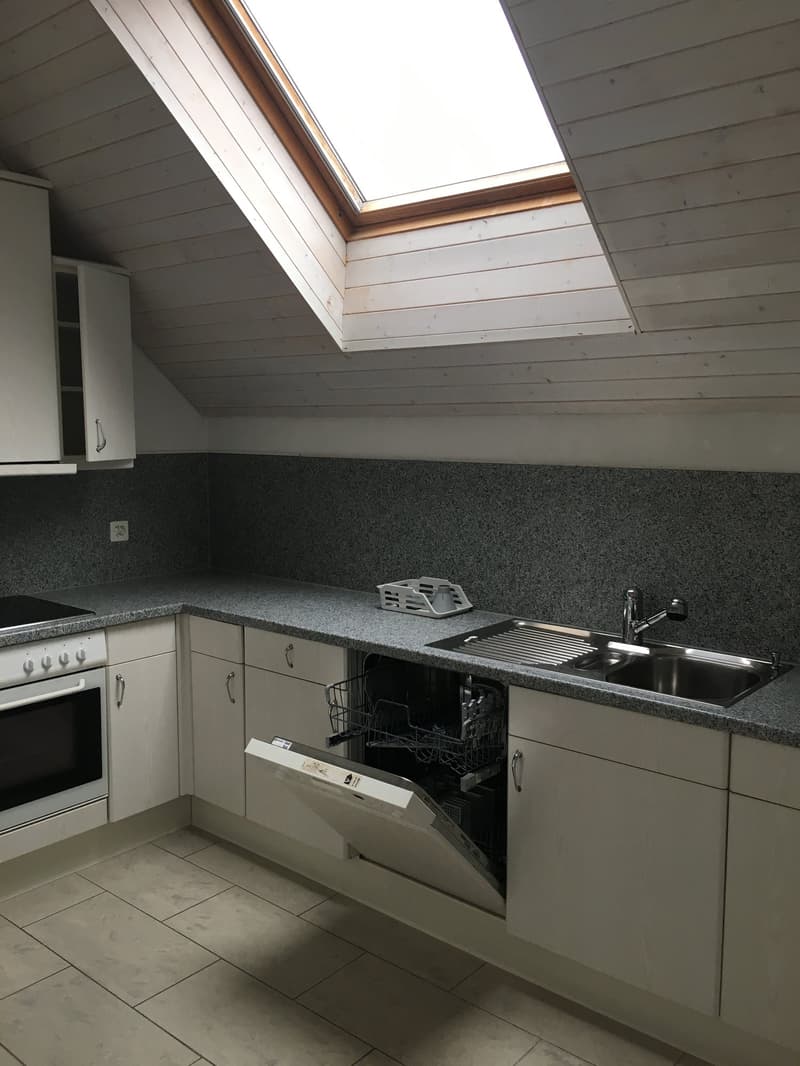 white cabinets, granite countertop, stainless steel sink, dishwasher, skylight, induction cooker, electric oven