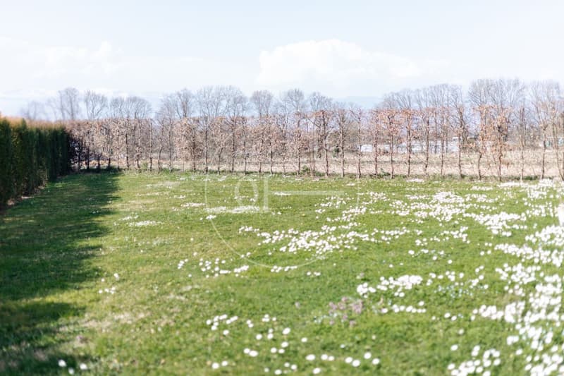 En exclusivité : Appartement au calme avec vaste jardin privatif (8)