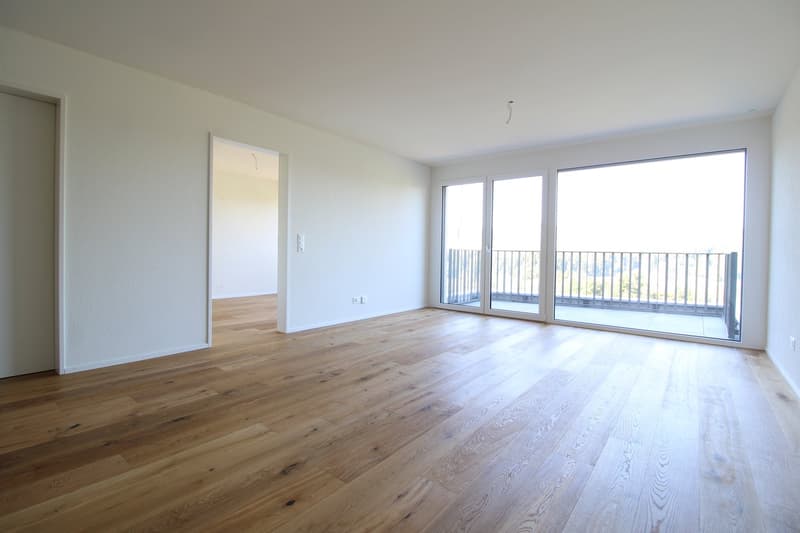 Moderne 2.5-Zimmer-Wohnung mit herrlichem Ausblick (2)