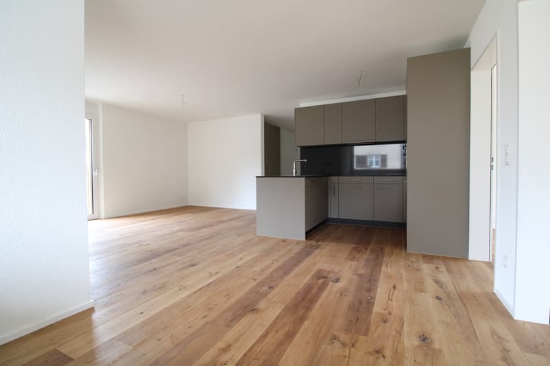 Moderne 4.5-Zimmerwohnung mit grosszügiger Terrasse in Kreuzlingen (3)