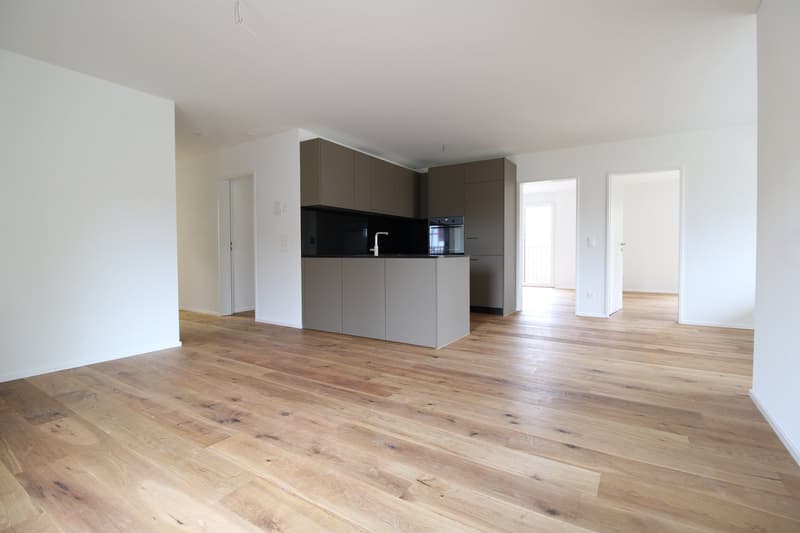 Moderne 4.5-Zimmerwohnung mit grosszügiger Terrasse in Kreuzlingen (2)
