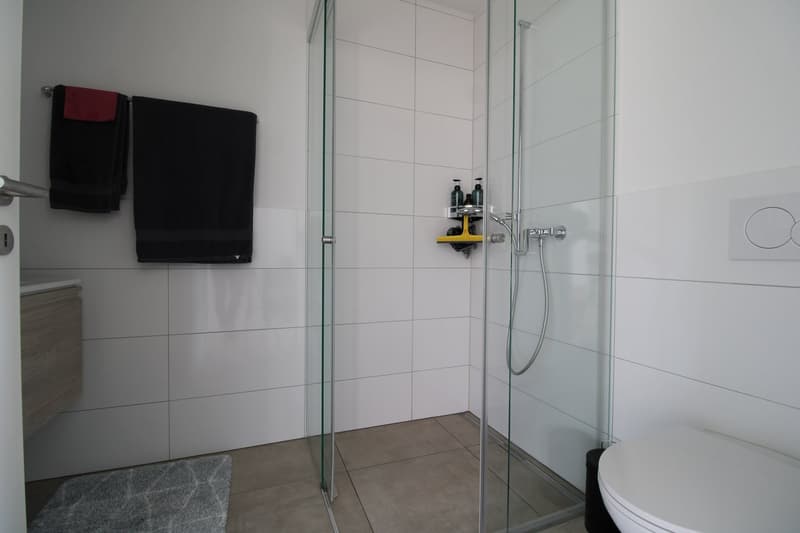 Charmante und helle 3.5 Zimmer-Wohnung (Erdegschoss) (8)