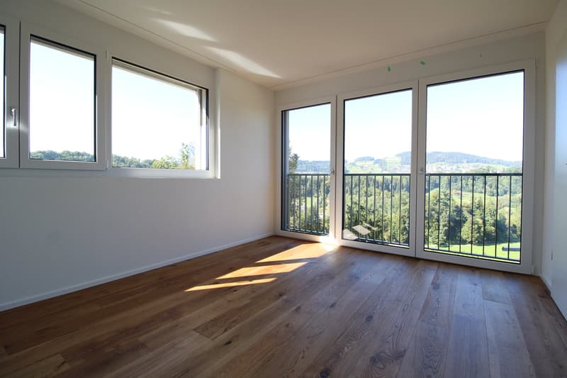 Attraktive 3.5-Zimmer-Wohnung mit traumhafter Aussicht in St. Gallen (1)