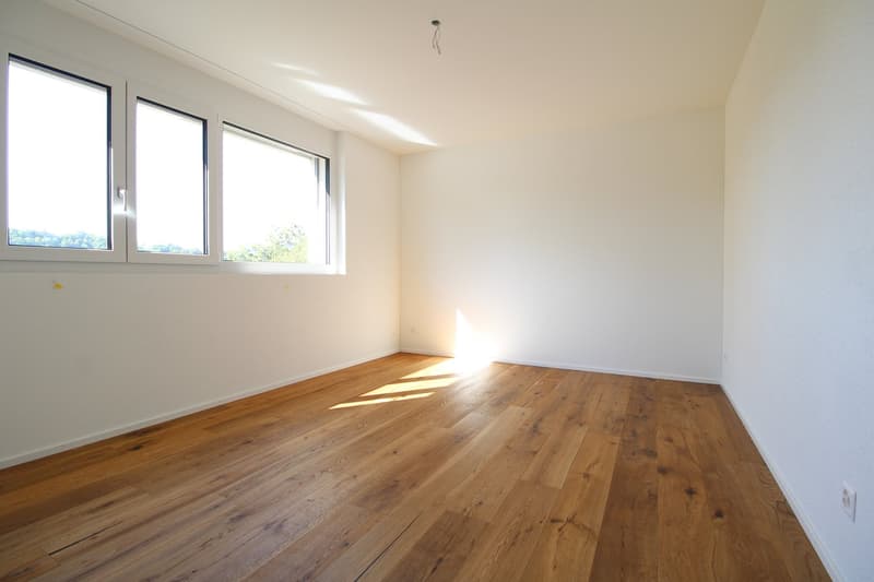 Attraktive 3.5-Zimmer-Wohnung mit traumhafter Aussicht in St. Gallen (8)