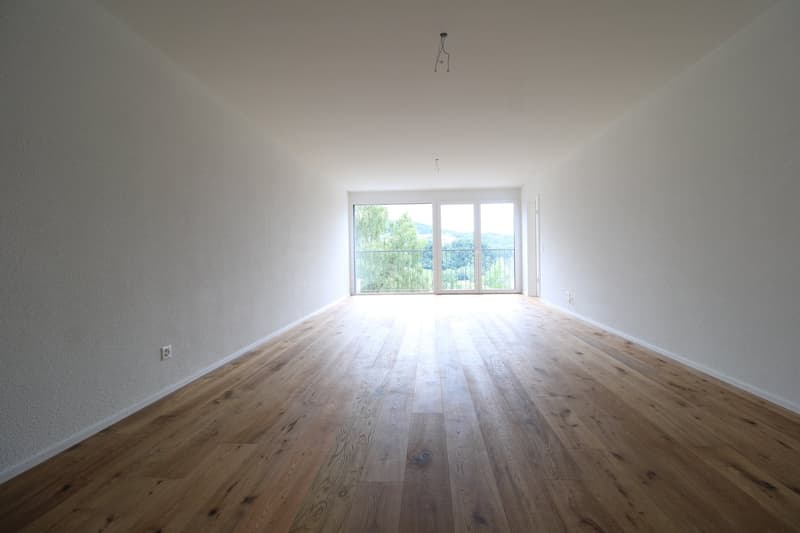 Attraktive 3.5-Zimmer-Wohnung mit traumhafter Aussicht in St. Gallen (4)