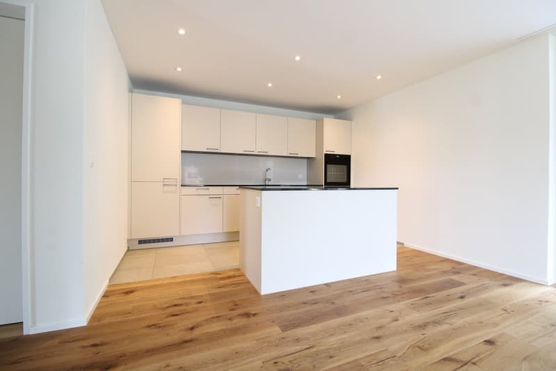 Tanneggerpark 4.5 Zimmer-Neubauwohnung (2)