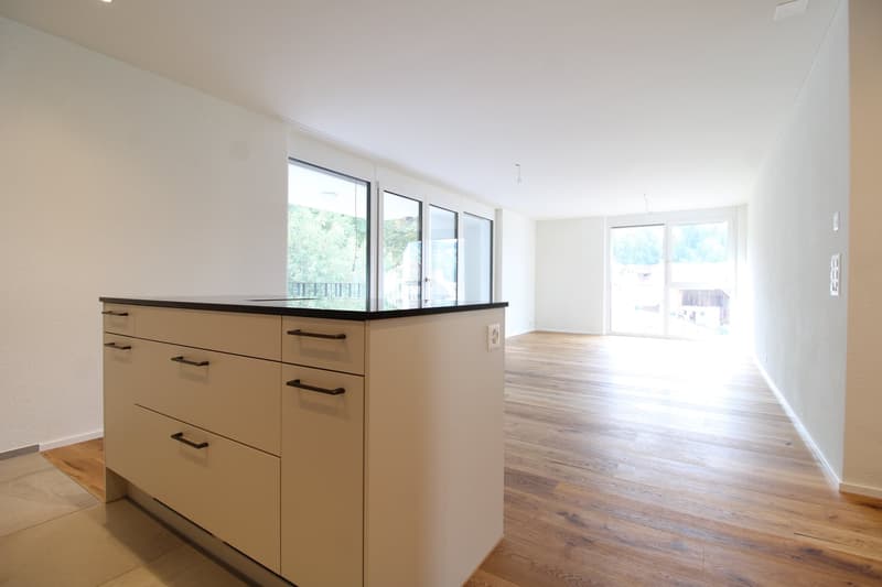 Tanneggerpark 4.5 Zimmer-Neubauwohnung (5)