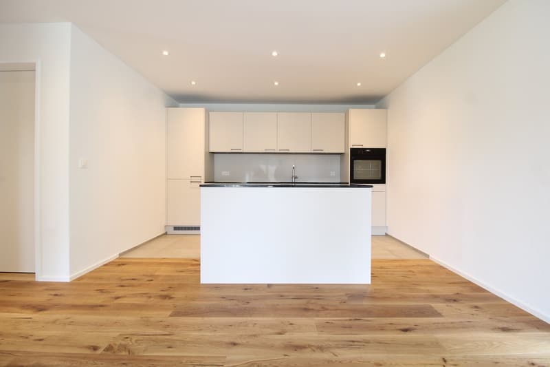 Tanneggerpark 4.5 Zimmer-Neubauwohnung (3)