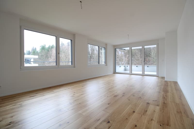 Gemütliche 4.5 Zimmer-Wohnung mit 100 m2 Terrasse (2)
