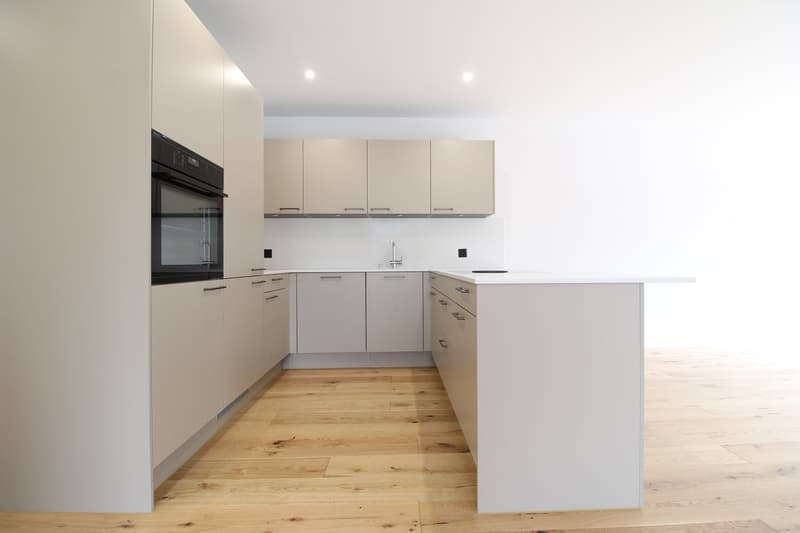 Gemütliche 4.5 Zimmer-Wohnung mit 100 m2 Terrasse (5)