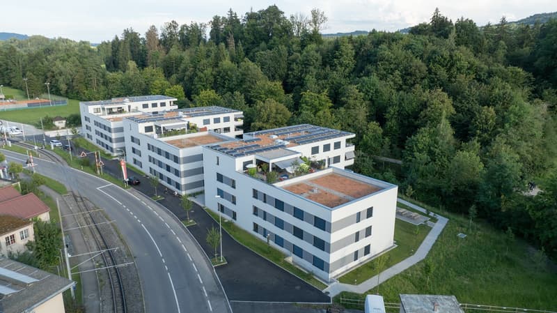 Gemütliche 4.5 Zimmer-Wohnung mit 100 m2 Terrasse (8)