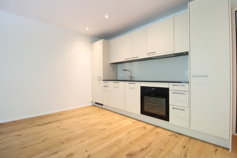 2.5 Zimmer-Attikawohnung mit gorsser Terrasse - Neubau (1)